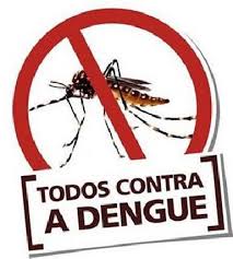 Mosquito da dengue